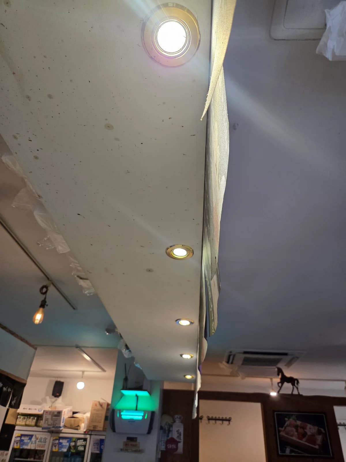 대전 식당 천장에 켜진 원형 할로겐 매입등